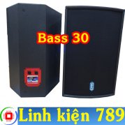  Loa karaoke DMX K-312 bass 30